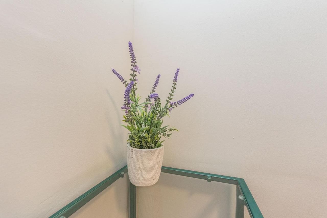 Saluto Al Sole Apartment Задар Екстериор снимка